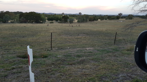 Kangarouter